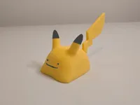 multicolor dittochu