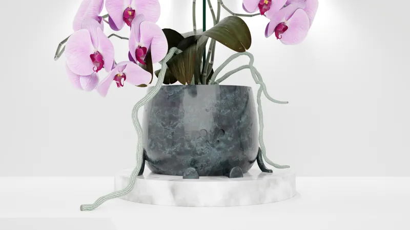 happy self watering pot