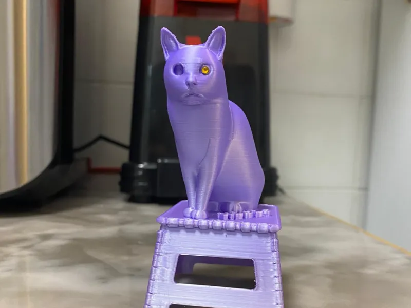 Gatto su sgabello