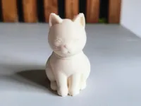 0.16mm layer, 2 walls, 15% infill