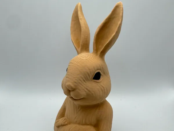 https://makerworld.bblmw.com/makerworld/model/USccac2c9fd99656/design/2025-02-13_ebba5423eecfd.jpeg