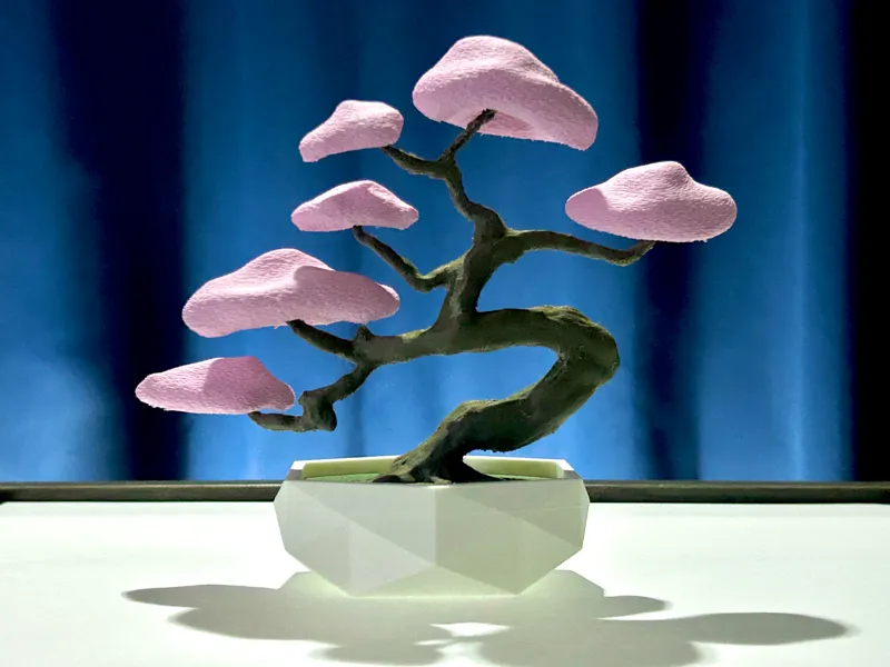 Bonsai