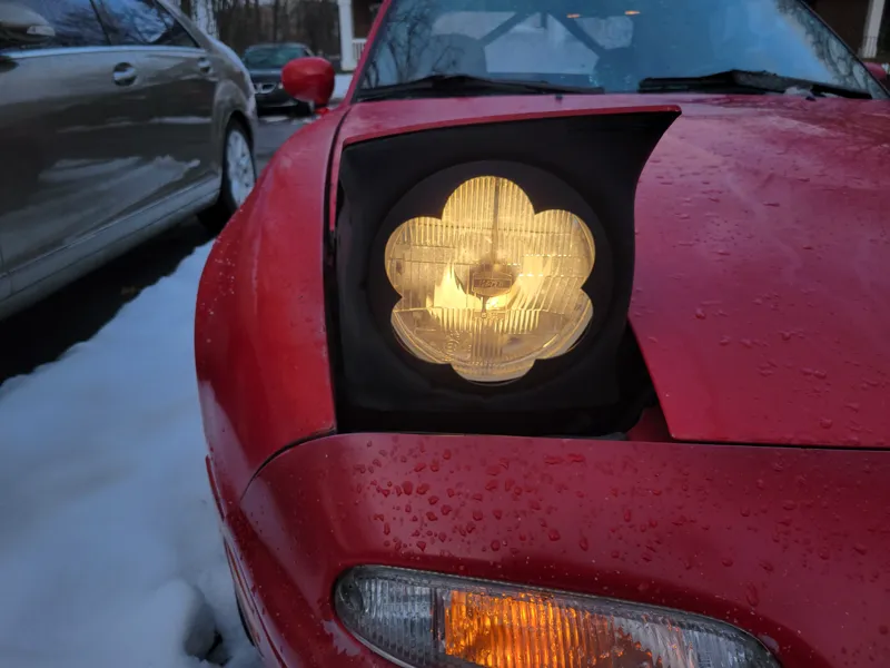 Miata Headlight Cover - Daisy