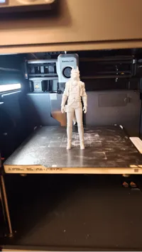 0.12mm layer, 2 walls, 15% infill
