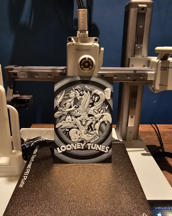 https://makerworld.bblmw.com/makerworld/model/USccb454ee5610f/design/2024-06-23_091b7f070a68d.jpg