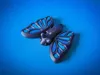 Butterfly Keychain (with eyes), Multicolor