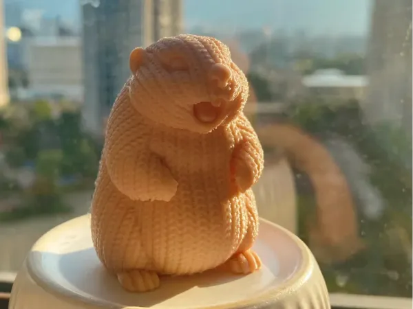 https://makerworld.bblmw.com/makerworld/model/USccbb1f774d62b7/design/01086809-719a-433e-b41a-8155fb8cd132.webp