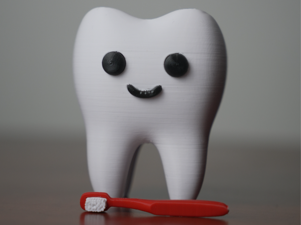 Tooth & Toothbrush - no ams