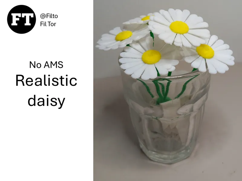 Realistic daisy