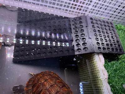 3d Print Turtle Ramp Turtle Tank Ramp - Free 3D Print Model - MakerWorld