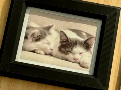 Gallery Frame for Instax Mini