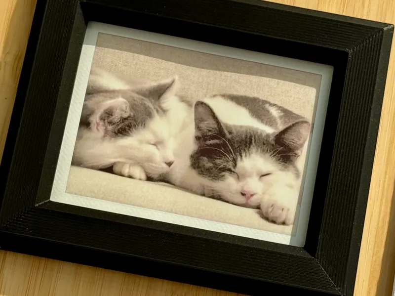 Gallery Frame for Instax Mini