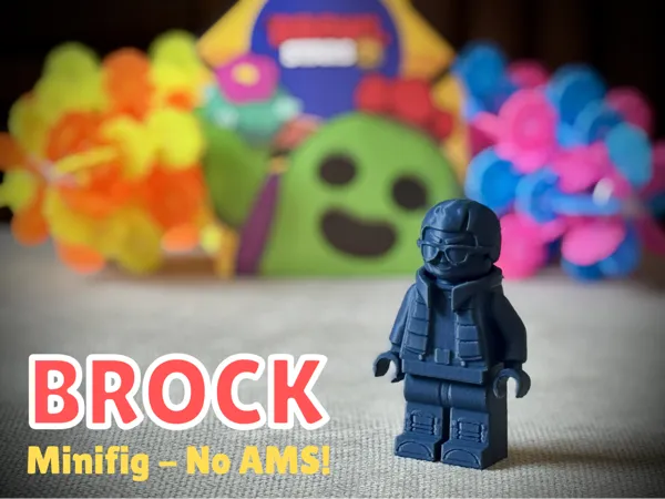 https://makerworld.bblmw.com/makerworld/model/USccc25dde0f60c6/design/7ce0d75c8940b1e7.png