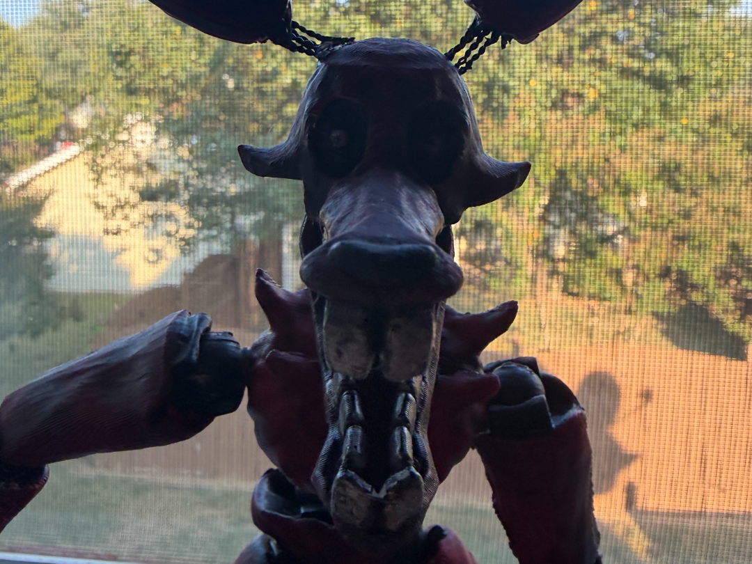 Foxy (read description) - 1