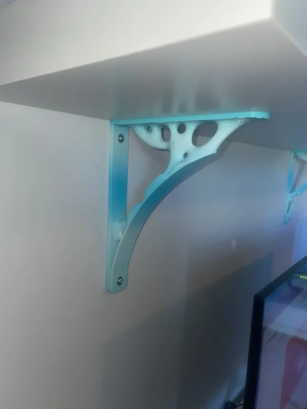 Organic Shelf Support