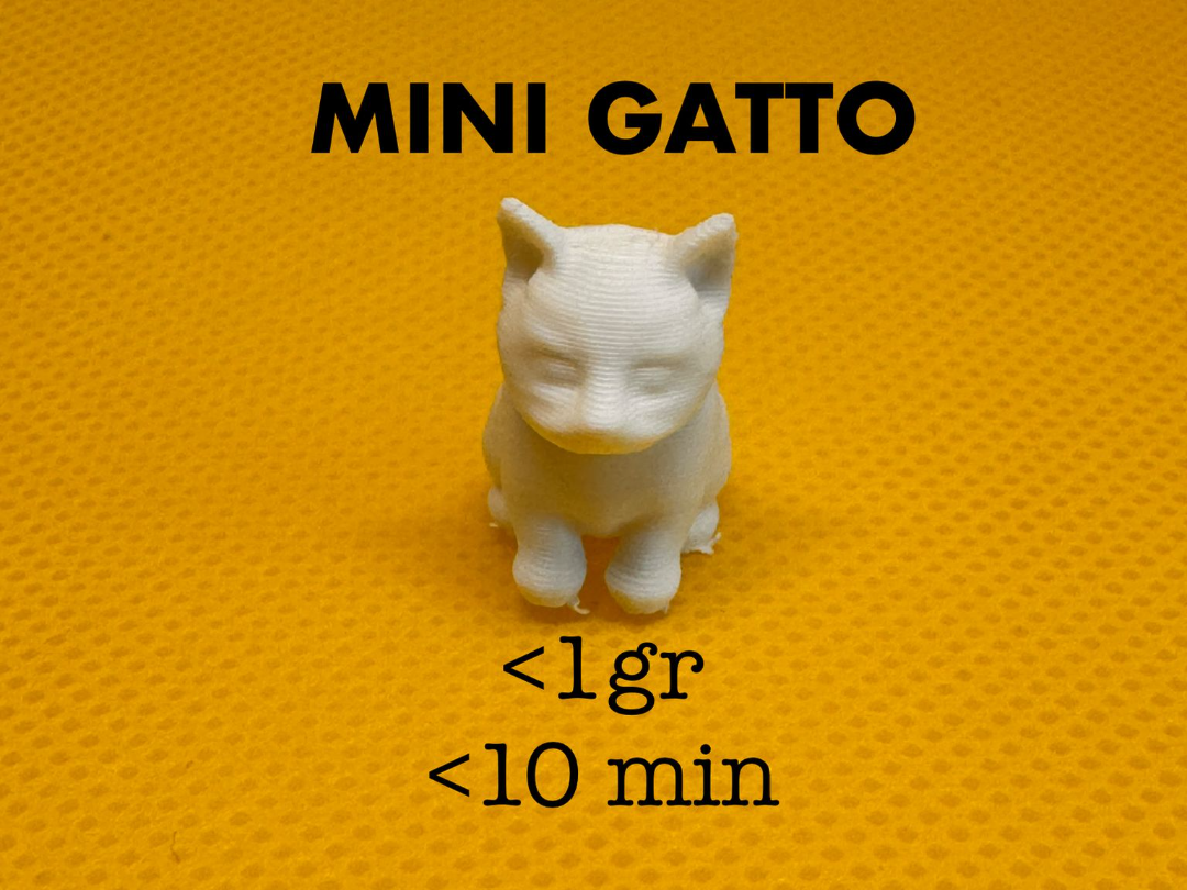 mini gatto - 1gr - 10 minuti
