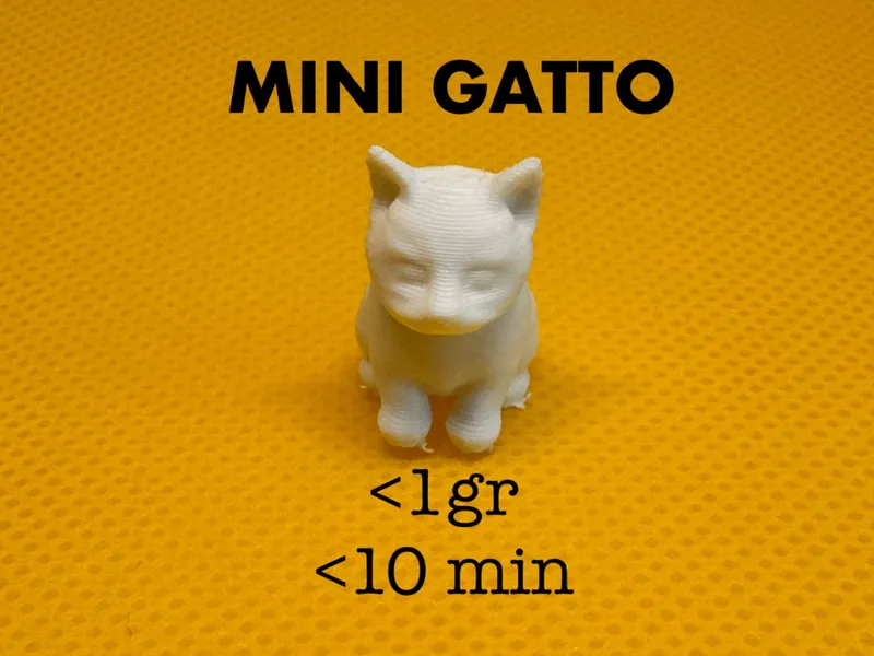mini gatto - 1gr - 10 minuti