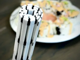 DualFlex Sushi Roller