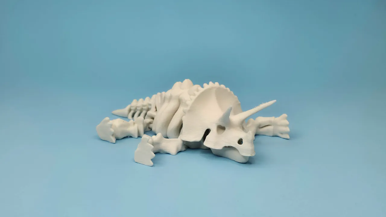 articulated skeleton triceratops dinosaur view 2