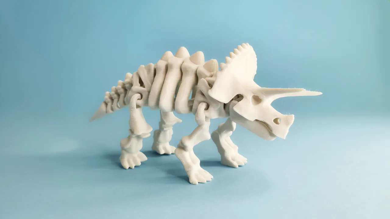 articulated skeleton triceratops dinosaur view 3
