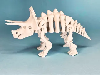 articulated skeleton triceratops dinosaur