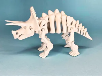articulated skeleton triceratops dinosaur