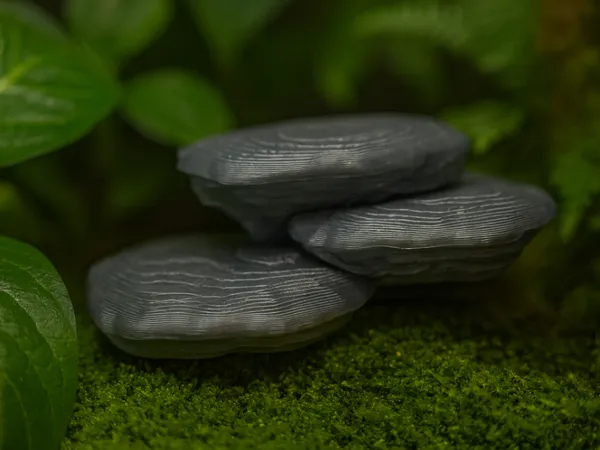https://makerworld.bblmw.com/makerworld/model/USccd19c037acb6b/design/2025-09-20_5ea6c511350648.png