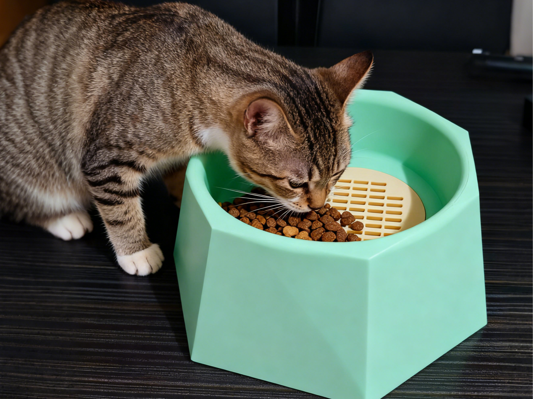 防潮吸湿猫粮盆