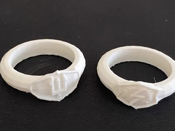 https://makerworld.bblmw.com/makerworld/model/USccd333b5c0372e/design/2025-09-06_049600297d35e.jpg