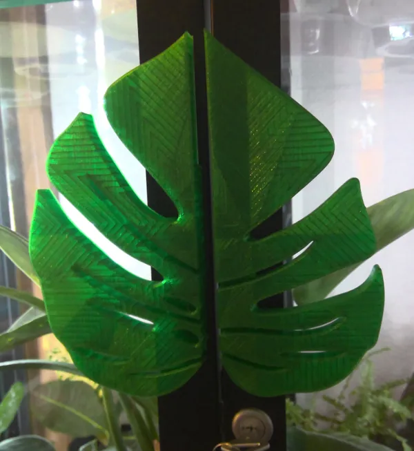 https://makerworld.bblmw.com/makerworld/model/USccd3438cc46080/design/2024-11-20_2137eabc7fc17.jpg