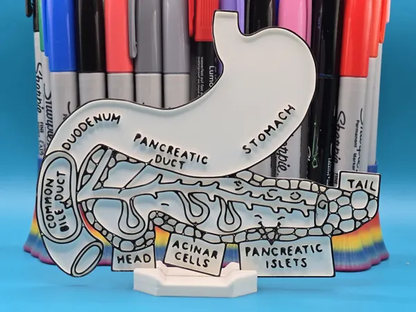 https://makerworld.bblmw.com/makerworld/model/USccd3c51428a890/design/2025-08-24_b1b38fae611068.jpg