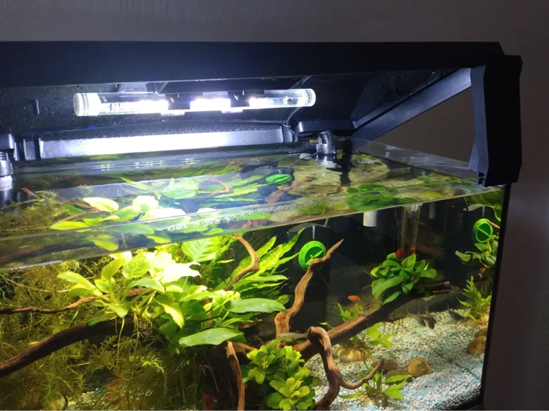 Aquarium Lid Lifter