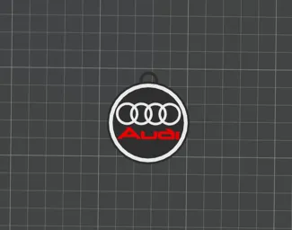 Audi keychain + AMS