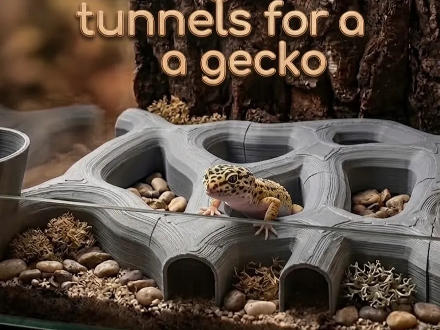 Letrero o emblema decorativo: Underground tunnels for a gecko. Referencia del modelo original.
