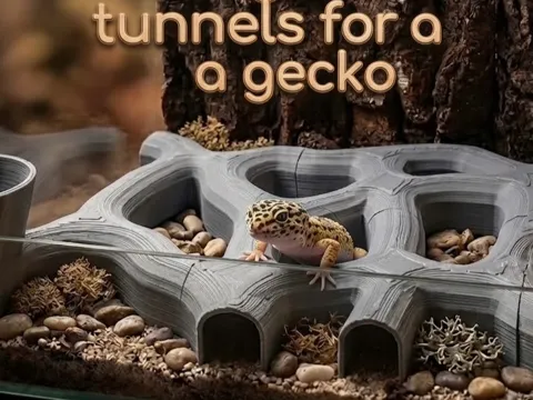 Letrero o emblema decorativo: Underground tunnels for a gecko — referencia de MakerWorld
