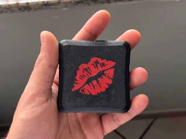 https://makerworld.bblmw.com/makerworld/model/UScce435062b1854/design/4052020817baf813.jpg
