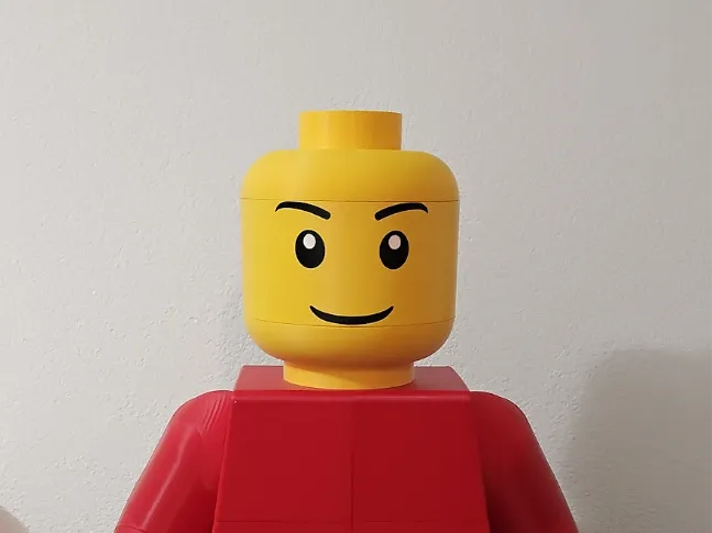 30cm großer Kopf, für 1m große Figur + Oberkörper
