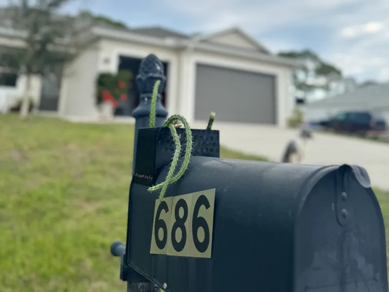 Mailbox planter