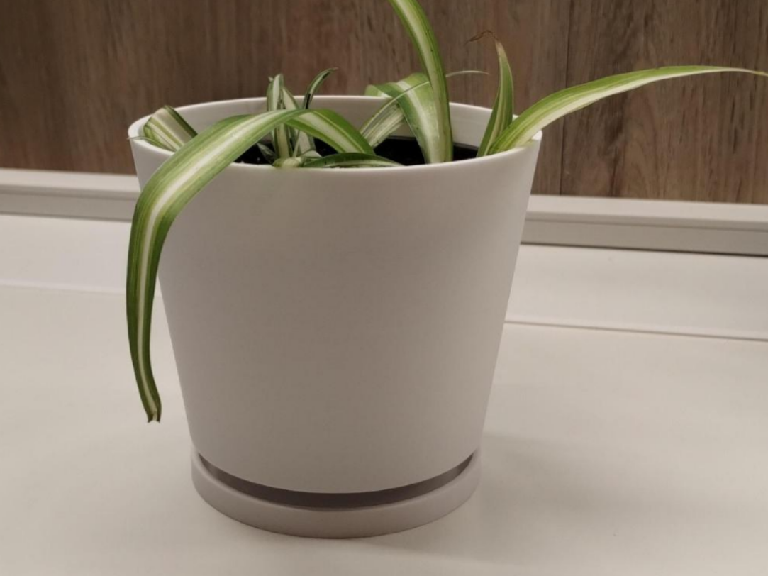Floating Flower Pot