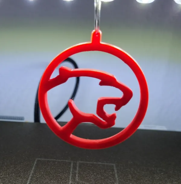 https://makerworld.bblmw.com/makerworld/model/UScceb62a9dee315/design/2024-12-20_0a9b44916661f.jpg