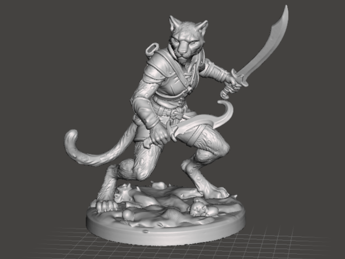 D&D Tabaxi Duelist