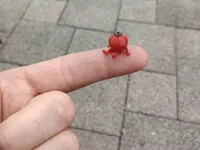 0.2mm nozzle, 0.1mm layer, 4 walls, 15% infill