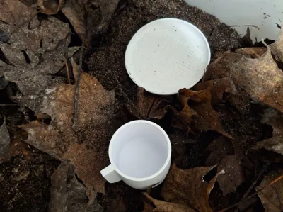Mini soil-based water dish