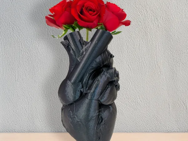 https://makerworld.bblmw.com/makerworld/model/USccfa532817009b/design/2025-02-12_2b30a6da2a2a68.png