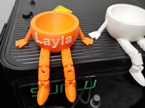 https://makerworld.bblmw.com/makerworld/model/USccfddb25321ef4/design/2024-12-25_83638ab6e35f5.jpg