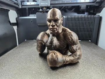 Caja o estuche: Mike Tyson Boxing Bust — vista de referencia 3