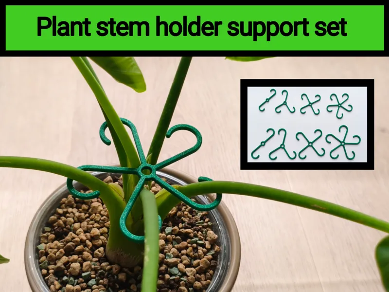 Plant stem holder support set (2-5 stem versions)
