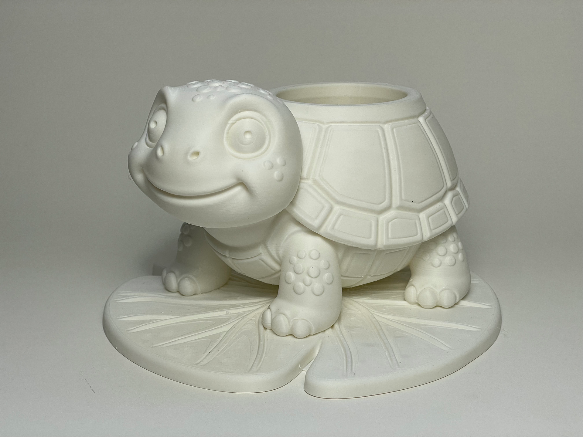 Slow Grow Turtle Planter