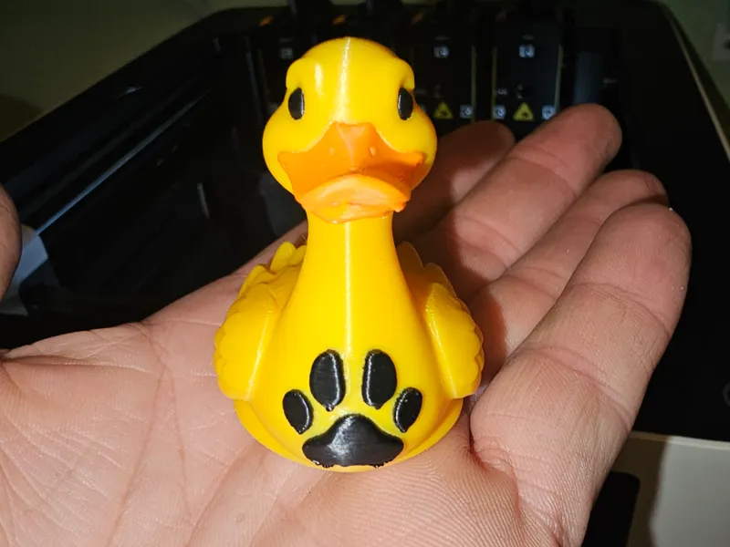 Swimming Duck with Paw Print