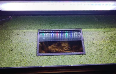 Acquarium floating window 